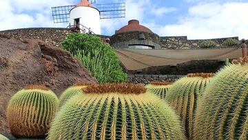 Lanzarote, volcanes y paisajes increbles