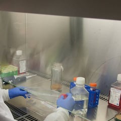 Las aguas residuales de España ya contenían COVID-19 en febrero