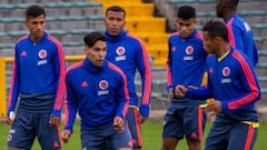 Colombia viaja a Lima para jugar con Perú antes de Copa América