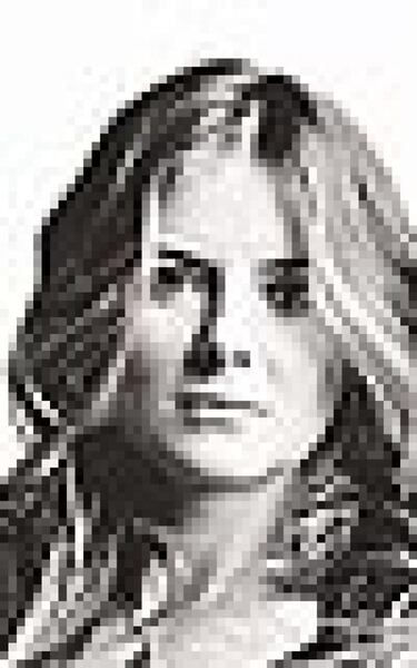 Las ocho participantes