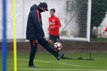 Pinilla, Pulgar, Roco y Fernández ya entrenan con la Roja