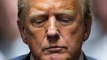 Como candidato a la presidencia, Trump prometió una deportación masiva de migrantes. Conoce cómo pretende lograr su objetivo ahora que es presidente electo.