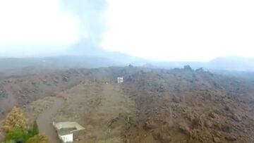 As¨ª fue el rescate an¨®nimo y con c¨¢mara t¨¦rmica de los podencos en La Palma