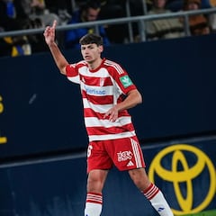 Flores, el guardián silencioso