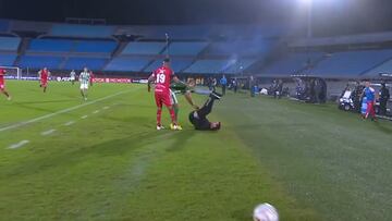 Pablo Guede es viral por esta insólita escena en Copa Sudamericana: “Cuidado”