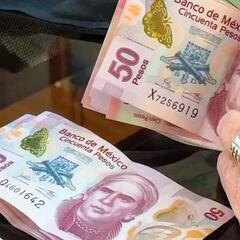 Pensión Mínima Garantizada IMSS 2024: montos y qué debo saber