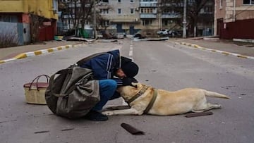 La emotiva imagen de la guerra que no dejará indiferente a nadie