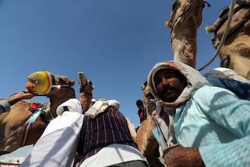 Carrera de camellos durante el Festival Sheikh Sultan Bin Zayed al-Nahyan, en el hipódromo de Shweihan en al-Ain en las afueras de Abu Dhabi.