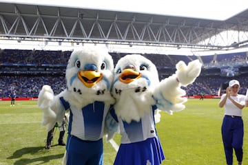 Espanyol's budgie mascots