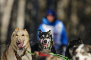 Después del acto ceremonial, ayer comenzó la primera etapa de la carrera de trineos con perros en Willow, Alaska. El viaje será de un total de 1.609 kilómetros.