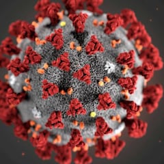 ¿Mata el calor al coronavirus?