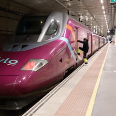 Adiós a los trenes Avlo entre Madrid y Barcelona