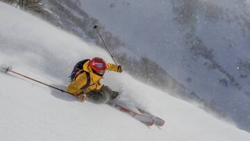 Trailer South Lines 2017