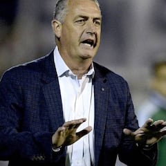 Alfaro: "Nadie de la Federación se comunicó conmigo"