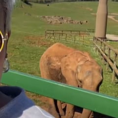 Kabarzeno va al parque y regaña a la audiencia por alimentar a los elefantes y regresa a casa con un castigo duro