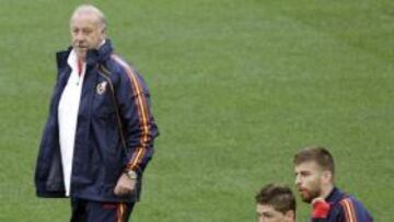 Del Bosque: "¿Iniesta? Tengo pensar en el Mundial, no sólo en Suiza"