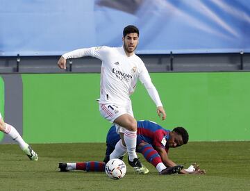 Asensio and Malsa