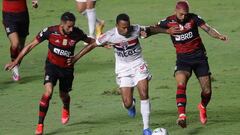 ¡Isla y Flamengo, campeones!