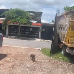 Videos: Así sucedió el sismo de 7.7 en Coalcoman, Michoacán