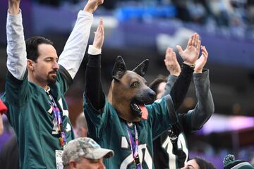 Las mejores imágenes de los fanáticos en el Super Bowl LII