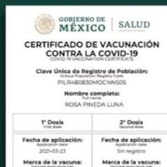 Certificados falsos de vacunación COVID-19: cómo detectarlos y diferenciarlos