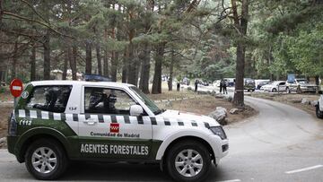 01/09/19
DESAPARCION BLANCA FERNANDEZ OCHOA COCHE EN CERCEDILLA APARCAMIENTO PARQUE NATURAL DE LAS DEHESAS
DESAPARICION