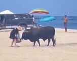 Un toro embiste a una mujer en una playa surfera de México