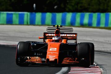 Stoffel Vandoorne.