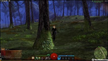Guild Wars 2, Impresiones