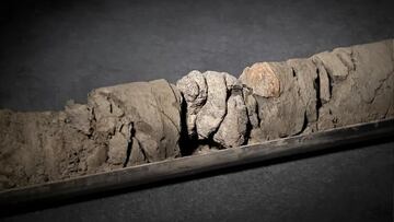 While drilling a geothermal test well a prehistoric breakthrough was made when a 70-million-year-old fossil was discovered buried deep beneath the ground.