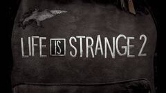 Life is Strange 2 / Dontnod Entertainment
