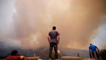 Viña del Mar, 3 de febrero 2024.
Incendio propaga en el sector de Villa Olimpica en Viña del Mar

Luis Hidalgo/Aton Chile