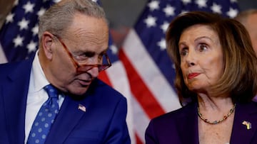 Nancy Pelosi and Chuck Schumer sat down for their first joint interview and had some harsh words for former President Donald Trump.