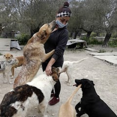 ¿Cómo ha infectado el coronavirus a los animales?