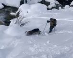 Un jabalí embiste a un esquiador en los Pirineos