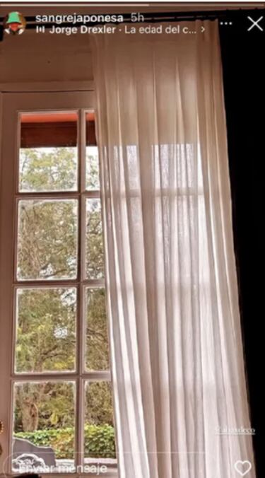 La defensa de la China Suárez tras la dura acusación: debería 100 mil dólares a Vicuña