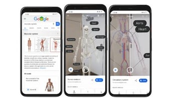 Esqueletos en el móvil: que pasa si buscas en Google 'sistema circulatorio'