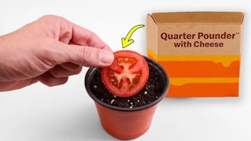 An experiment has completely surprised viewers because of its unexpected outcome.