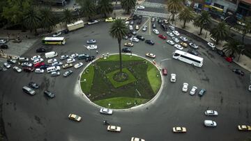 Palmera de la Glorieta de la Palma será retirada