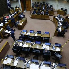 Ingreso de Emergencia en Chile: ¿por qué no se aprobó y cuándo está previsto?