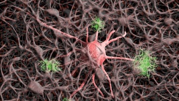 A research team has found a way to restore brain communication and memory function in mice — offering real hope that Alzheimer’s could one day be treatable.