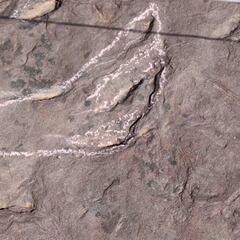 Hallazgo prehistórico en Guadalajara