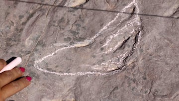 Hallazgo prehist車rico en Guadalajara