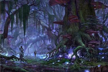 La magia de The Elder Scrolls Online, imágenes del MMO más ambicioso del 2013