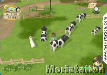 Así lucen las granjas de Harvest Moon en Wii