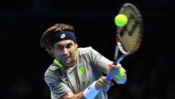 David Ferrer.
