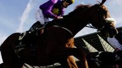 Bannaby, cuarto en Ascot