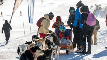 Día Mundial de la Nieve 2025 - Grandvalira. Mushing con niños con autismo.