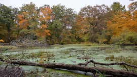 Una pareja jubilada se va a vivir a una casa flotante de 25 metros en mitad de un pantano: “Me decían que estaba loco”