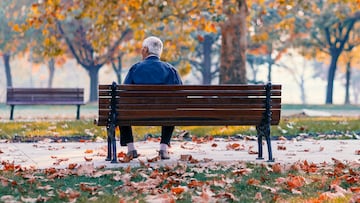 Lonely Senior Old Man Sitting on Bench in Park